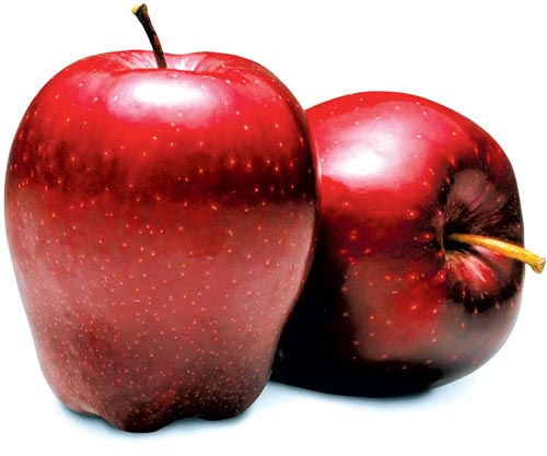 buah apple merah segar fresh